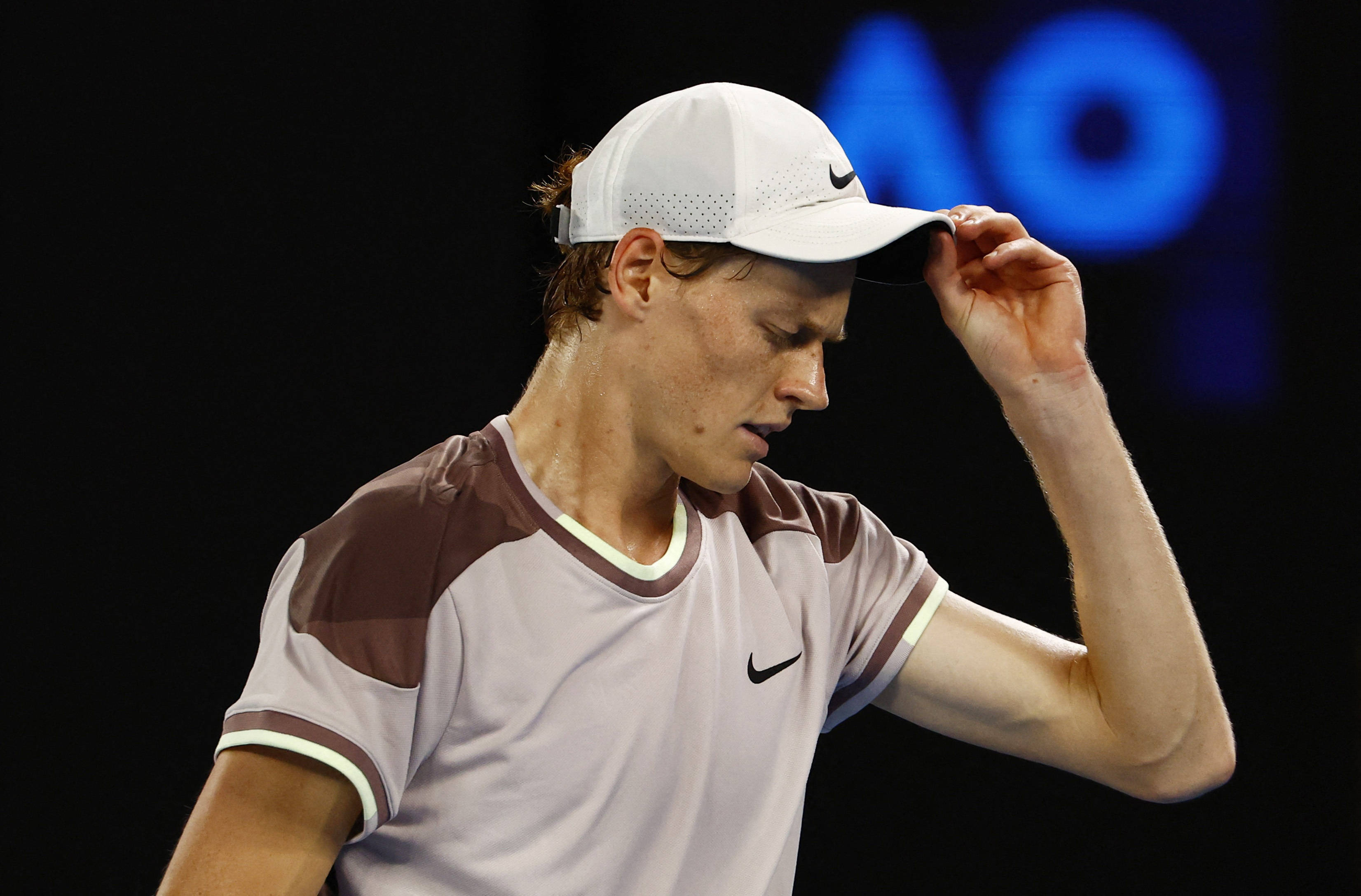 这不仅表明 这不仅表明